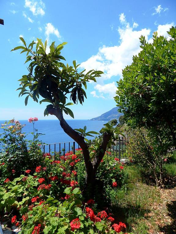 Amalfi View Cottage Eksteriør billede