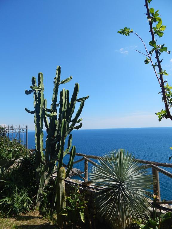 Amalfi View Cottage Eksteriør billede